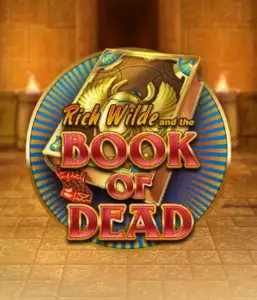 Embark on the thrilling world of Book of Dead by Play'n GO, featuring vivid graphics of Rich Wilde’s adventurous journey through ancient Egyptian tombs and artifacts. Find lost riches with captivating mechanics like free spins, expanding icons, and a gamble option. Ideal for adventure enthusiasts with a desire for thrilling discoveries.